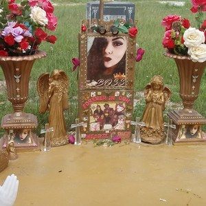 Meet your Posher, Eliassolis